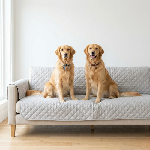 Pet Couch Cover