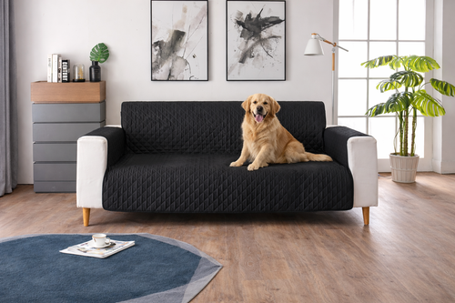 Pet Couch Cover